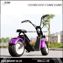 Third Generation Electric Vehicle Harley Style 1200W with Removable Battery for Charing